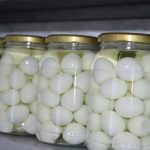 Canja de galinha